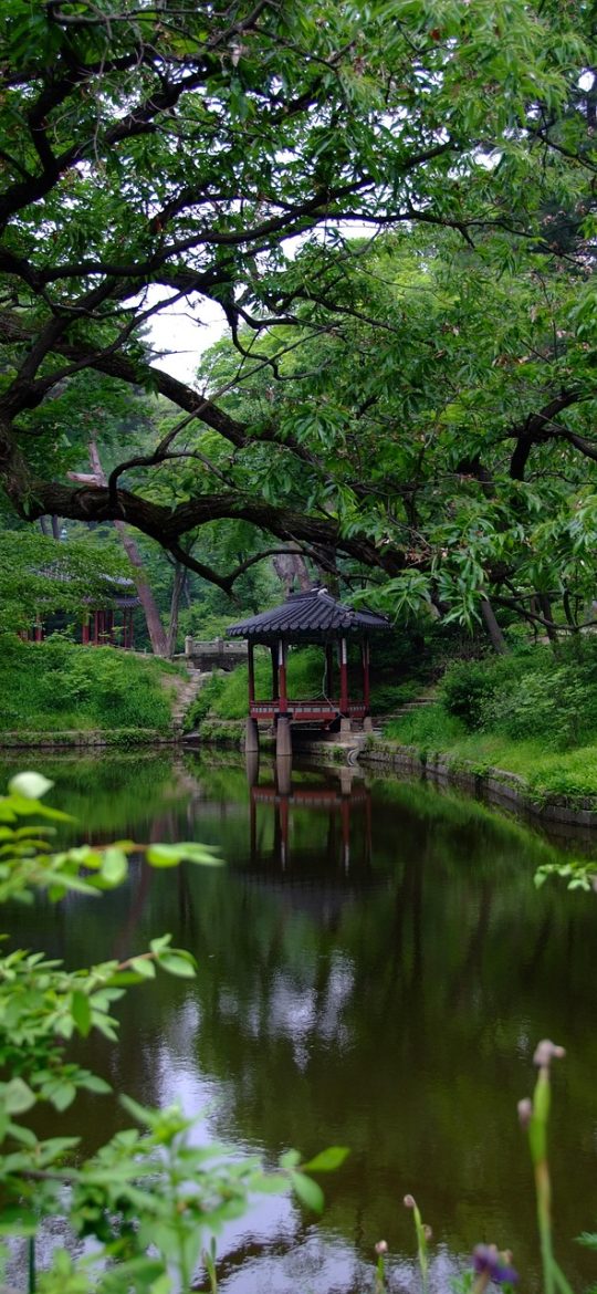 韩剧在线 App 首页界面，顶部搜索框下方横向排列题材分类标签，下方是竖排剧集封面卡片，深色背景